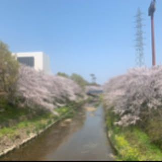 tayu0321