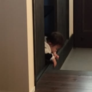 nan
