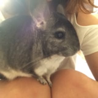Mariko