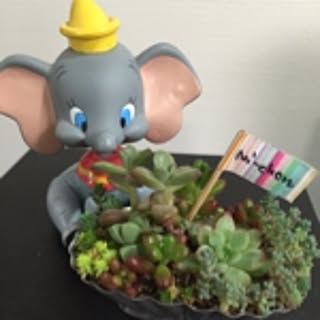 Mi-chon