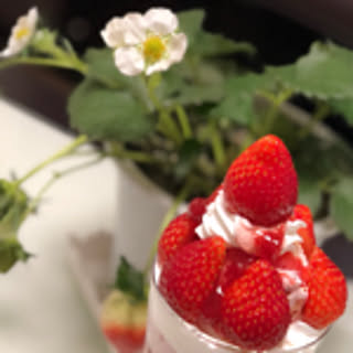 yumi