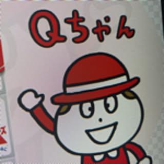 qsan