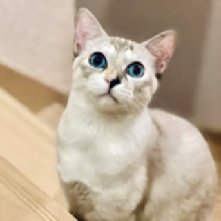 kidmomo123