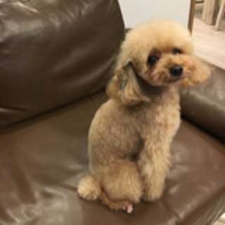 machiko