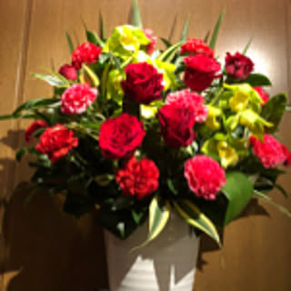 Camellia