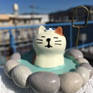 137Moki