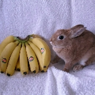 flavortin