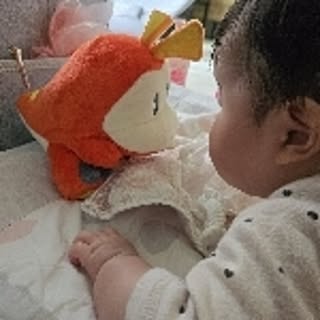 tuki