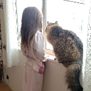 momo-maru