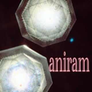 aniram.0