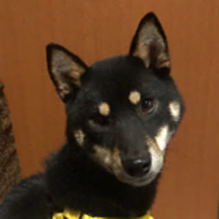 fuwa