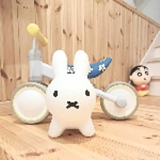 mushi