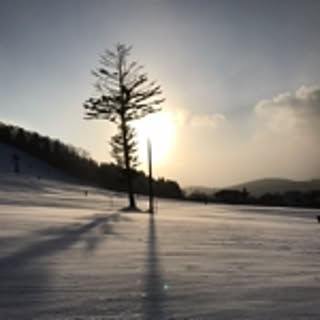 Yuko.S