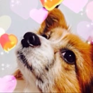 onyannyano