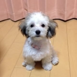 ramuri