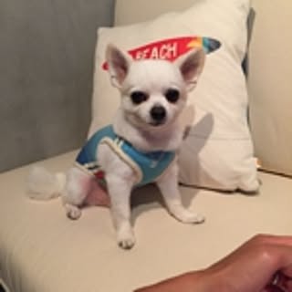 metarou