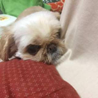 chabtan0114