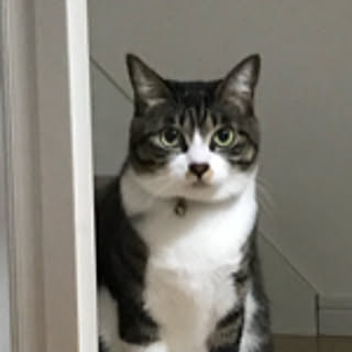 3cat