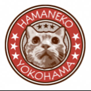 hamaneko