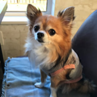 coco74