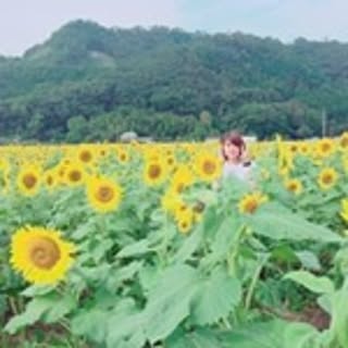 Youko