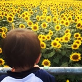 keito