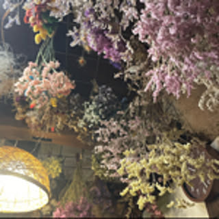 k.yoshizumi