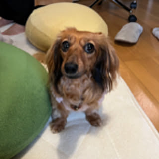 mica