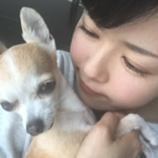 terumi