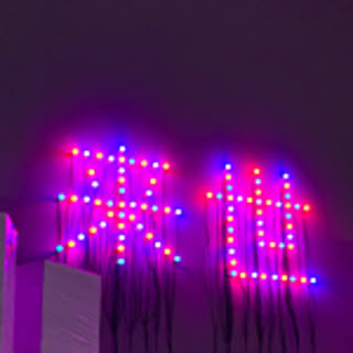 DosukebeBurning