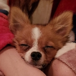 RANGEEii