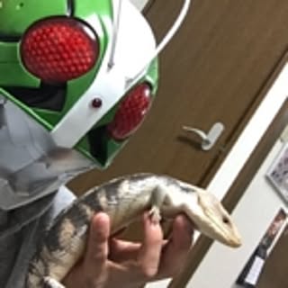 Ryokuta34