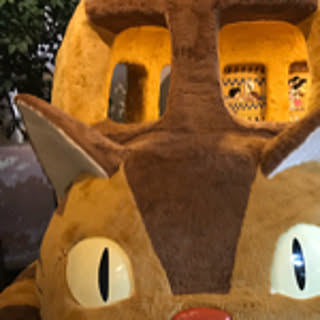 tantan