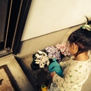 azusa.artn