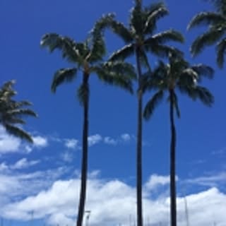 mahaloha