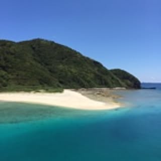 Ninji