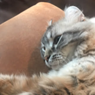 atresa