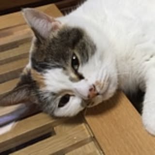 Hana