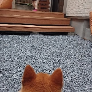 mugimugihouse