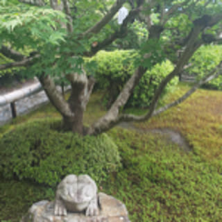 miyako