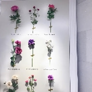 coco1220