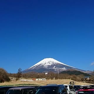 Falka