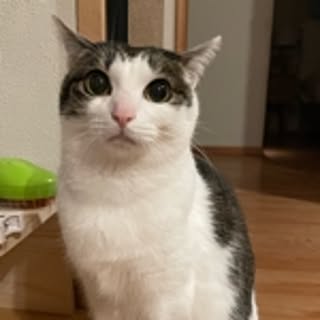 eio