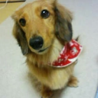 hana
