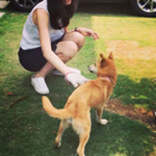 Lulu