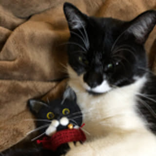 Oreo