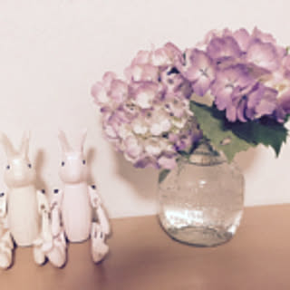lily.m