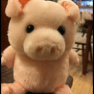 Yuki