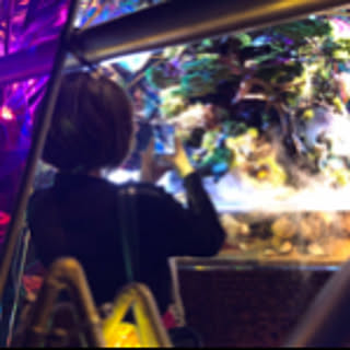 asukaren412