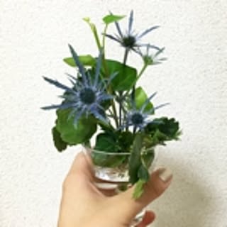 Naoko